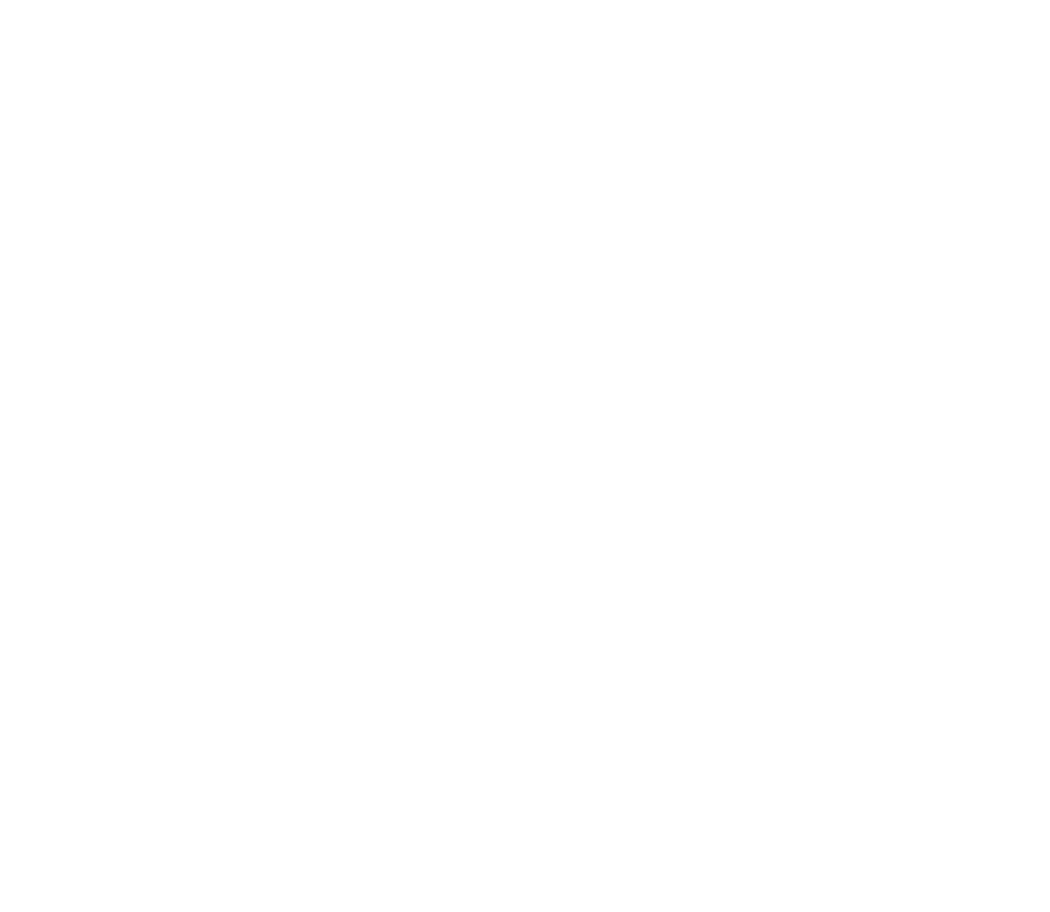 The Logo